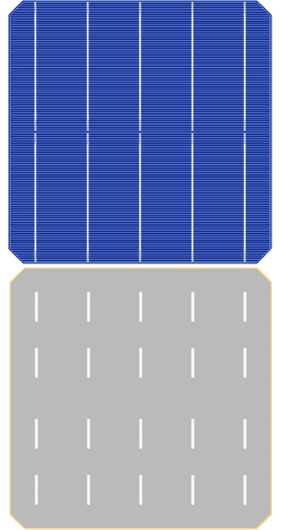 M2-PERC Cell